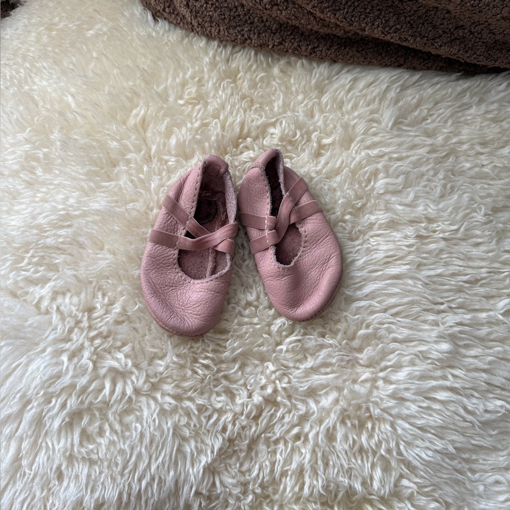 Freshly Picked Baby Walkers